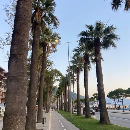 Away From ! Vlorë